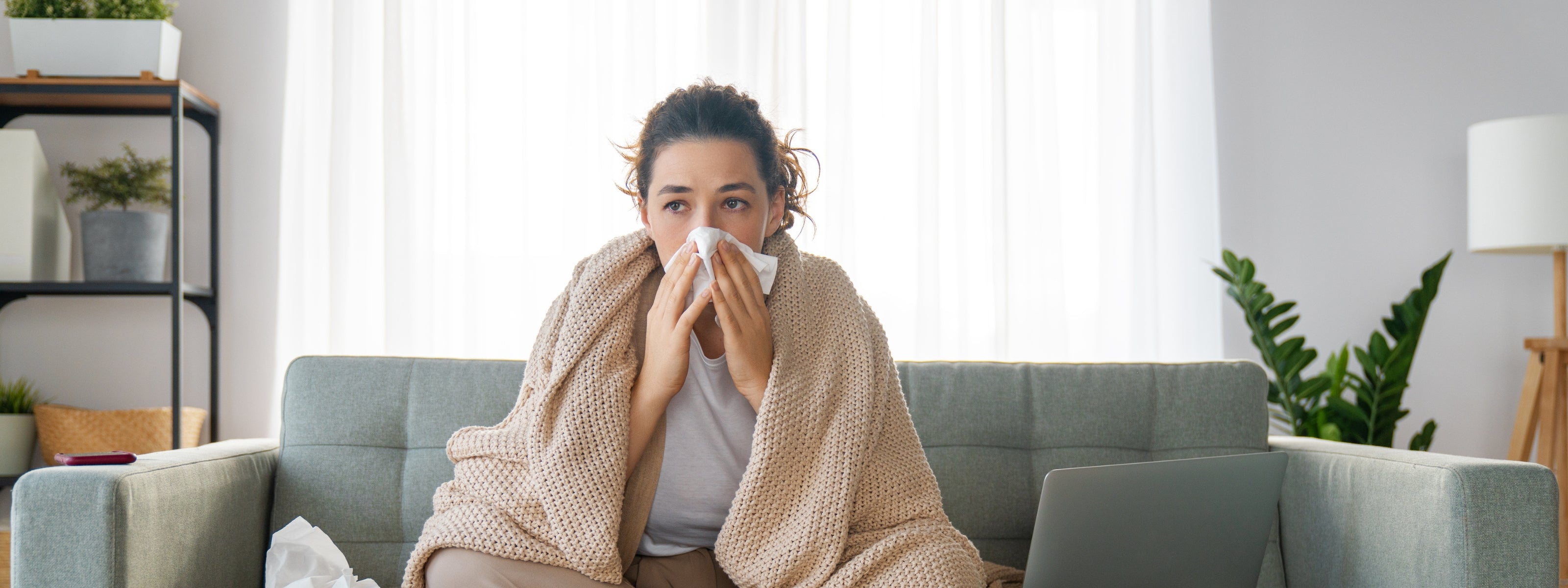 Herbs to Support You Through Cold and Flu Seasons